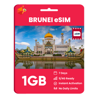 Thumbnail for Brunei eSIM: 1GB - 7 Days